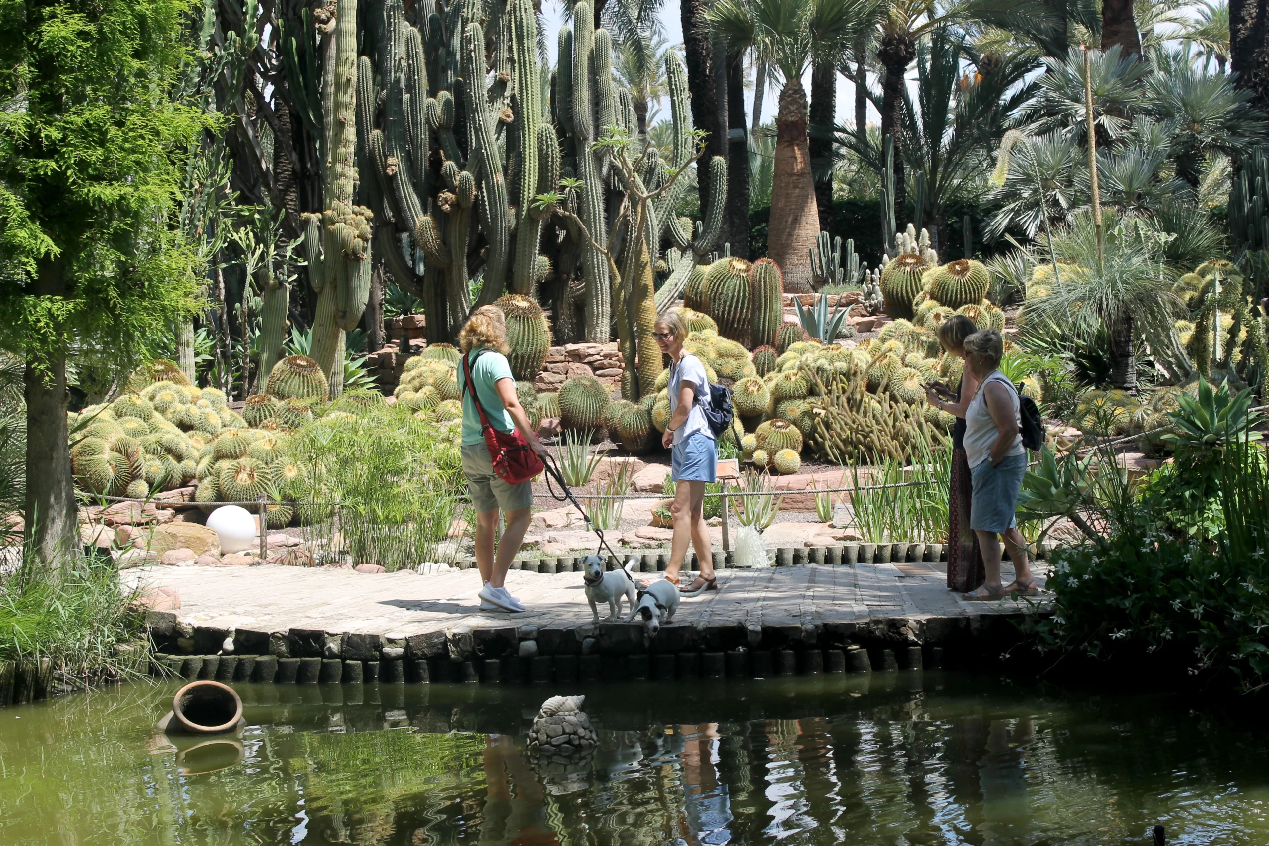 El jardín Huerto del Cura presenta las actividades programadas para la celebración de los dos efemérides del capellán Castaño